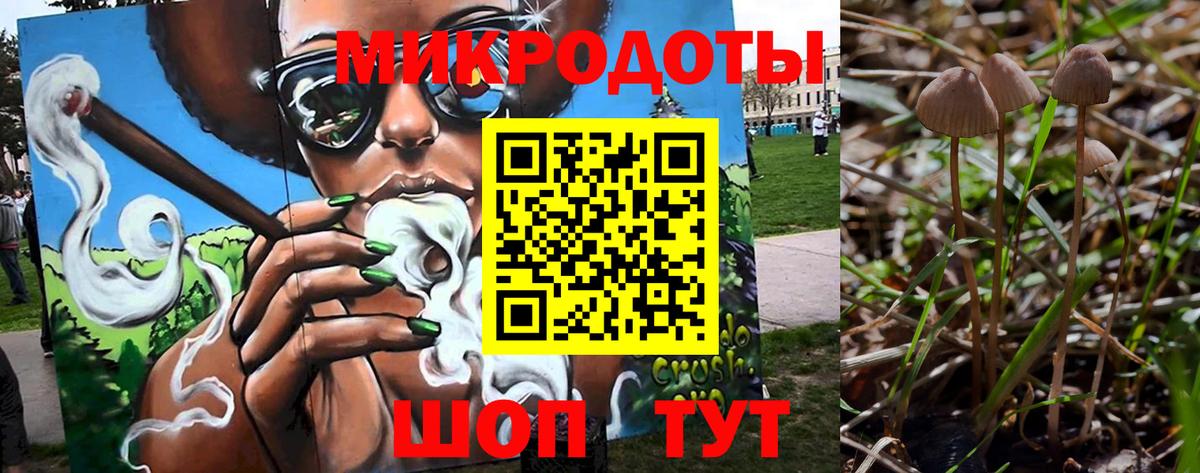 Новоалександровск  Псилоцибиновые грибы GOLDEN TEACHER  Псилоцибиновые грибы прущие грибы  Вход с VPN 