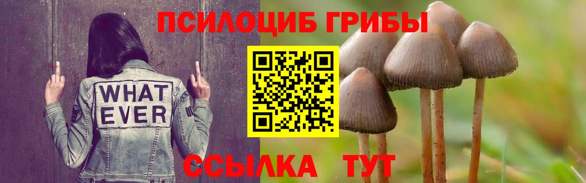 Галлюциногенные грибы Magic Shrooms Новоалександровск